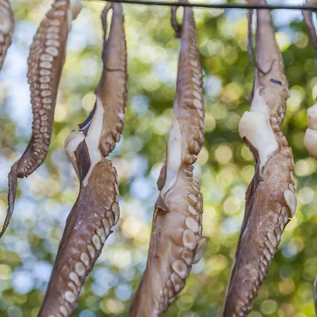 Mesogi, Modern 3bdr Villa, Close To Fig Tree Bay *