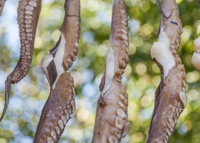 Mesogi, Modern 3bdr Villa, Close To Fig Tree Bay *